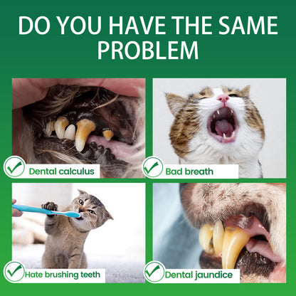 Dog Dental Powder – Fix Bad Breath Without Brushing